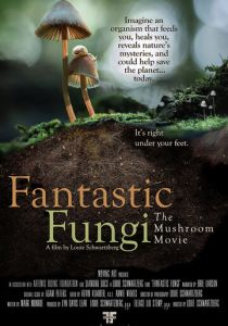 Фантастические грибы (2020)